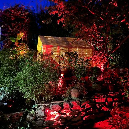 Bumble Bee Cottage พลีมัธ ภายนอก รูปภาพ