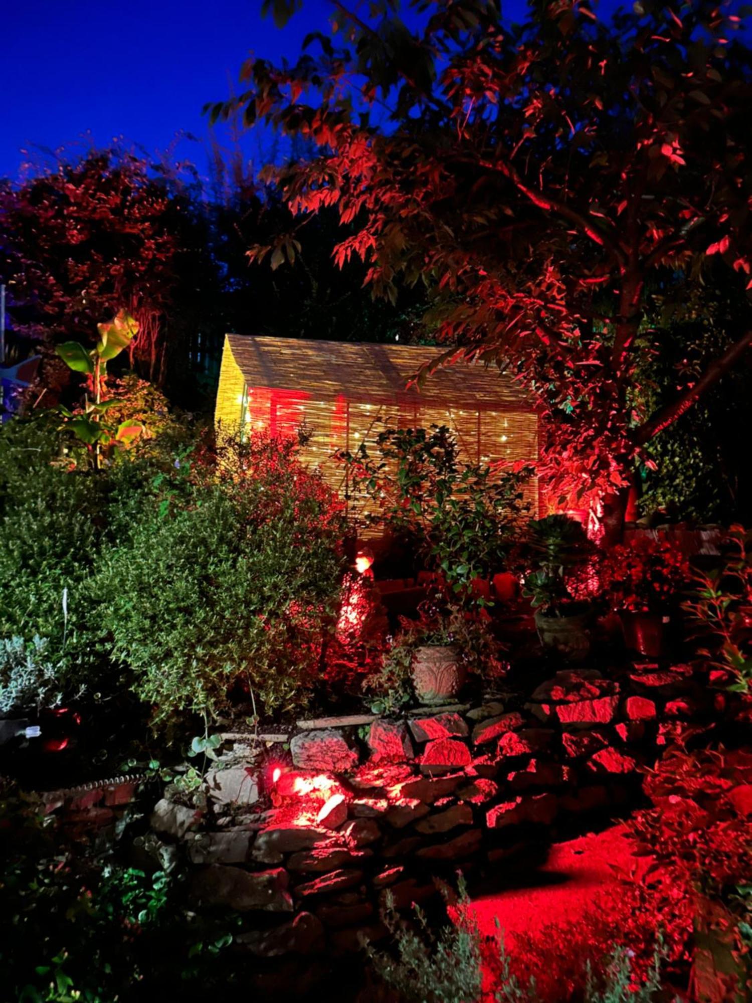 Bumble Bee Cottage พลีมัธ ภายนอก รูปภาพ